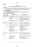 Giáo án môn Thể dục - Tuần 23, 24, 25