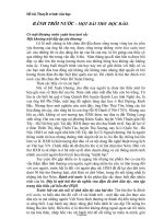 Thuyết trình văn học: Bánh trôi nước - Một bài thơ độc đáo