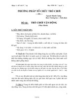 Phương pháp tổ chức trò chơi - Đề tài: Trò chơi vận động