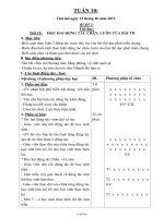 Giáo án Tuần 10 - Buổi 2 - Lớp 3