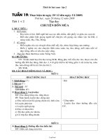 Thiết kế giáo án Tổng hợp khối 2 - Tuần 19 năm học 2009