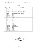 Kế hoạch bài dạy khối 1 (chuẩn kiến thức kĩ năng) - Tuần 5 - Mai Thị Ngọc Sương