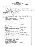 Giáo án các môn lớp 2 - Tuần 11 năm 2009