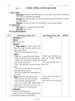 Giáo án Tự nhiên xã hội - Bài 19 đến bài 22