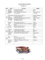 Giáo án các môn lớp 2 (buổi sáng) - Tuần lễ 9