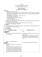 Giáo án các môn khối 2, học kì I - Tuần 13 năm 2004