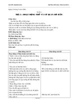 Giáo án Tự nhiên xã hội 3 tuần 1 đến 4 - Nguyễn Thị Bích Hải - Trường tiểu học Vĩnh Nguyên 1