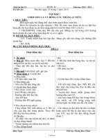 Giáo án các môn khối 2 - Tiểu học Hoàng Hoa Thám - Tuần 21