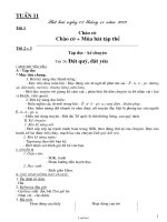 Giáo án bài học Tuần 11 Lớp 3