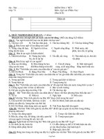 Giáo án Kiểm tra 1 tiết môn: Ngữ văn (phần văn) (học kì II)