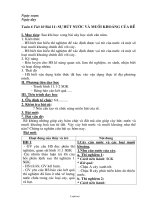 Giáo án lớp 6 môn học Sinh học - Tuần 6 - Tiết 10 - Bài 11: Sự hút nước và muối khoáng của rễ