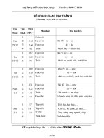 Giáo án Tổng hợp môn học khối 1 - Tuần 19 - Trường tiểu học Thọ Ngọc