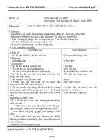 Giáo án buổi chiều Lớp 2 tuần 16 - Trường tiểu học Hồ Chơn Nhơn