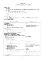 Giáo án Chính tả 2 tuần 11 tiết: Cây xoài của ông em