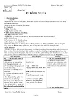 Bài giảng môn học Ngữ văn lớp 7 - Tuần 9 - Tiết 35: Từ đồng nghĩa