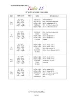 Kế hoạch bài dạy lớp 1 - Tuần 15 năm học 2009