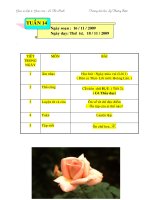 Giáo án môn Thủ công lớp 2 - Gấp, cắt, dán phong bì (tiết 1)