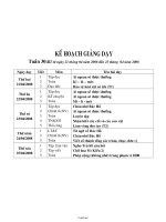 Bài soạn các môn học lớp 2 - Tuần 30 năm học 2008