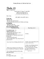 Kế hoạch giảng dạy môn học khối 4 - Tuần 18