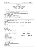 Giáo án lớp 6 môn học Sinh học - Tuần 8 - Tiết 15: Cấu tạo trong của thân