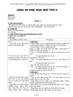 Giáo án phụ đạo Ngữ văn 8 - Trường THCS Tiên Tân