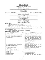 Kế hoạch bài dạy khối 1 (buổi sáng) - Tuần 29, 30, 31