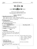 Giáo án các môn học khối 2, học kì II - Tuần 28