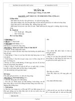 Thiết kế bài dạy các môn lớp 2 năm 2010 - 2011 - Tuần 16