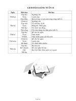 Thiết kế bài dạy môn học lớp 1 - Tuần 31