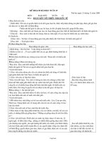 Kế hoạch bài học Tuần 19 Lớp 3