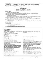 Giáo án các môn khối 2 - Trường Tiểu học Lê Hồng Phong - Tuần 33