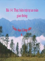 Giáo án môn Giáo dục công dân 6 - Tiết 23 - Bài 14: Thực hiện trật tự an toàn giao thông
