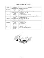 Thiết kế bài dạy các môn học lớp 1 - Tuần 2 năm học 2008