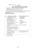 Giáo án khối lớp 2 - Môn Tiếng Việt - Ôn: Tập đọc con chó nhà hàng xóm