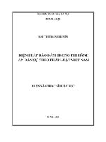 Các biện pháp bảo đảm thi hành án dân sự theo pháp luật việt nam 