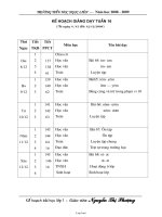 Kế hoach bài dạy các môn học lớp 1 - Tuần 16 - Trường tiểu học Ngọc Liên