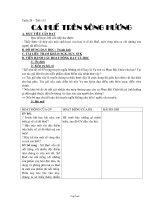 Giáo án môn Ngữ văn khối 7 - Tiết 113: Ca huế trên Sông Hương