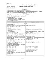 Giáo án Tuần 30 Lớp 3 - Cả ngày