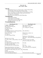 Giáo án môn Học vần, Tiếng Việt - Tuần 13