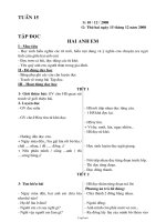 Kế hoạch giảng dạy khối lớp 2 - Tuần 15 năm học 2008