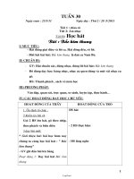 Giáo án Tổng hợp lớp 2 - Tuần dạy 30 năm 2011