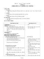 Giáo án Chính tả 2 tuần 21 tiết: Chim sơn ca và bông cúc trắng