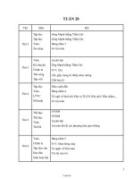 Giáo án Tổng hợp môn lớp 2 - Tuần lễ 20 năm học 2013