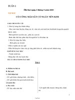 Thiết kế giáo án các môn học lớp 2 - Tuần 1, 2