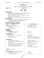 Giáo án giảng dạy môn học lớp 1, kì II - Tuần 19