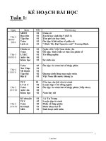 Thiết kế bài dạy tổng hợp các môn lớp 5 - Tuần 1