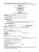 Giáo án các môn lớp 2 (buổi chiều) - Tuần lễ 17