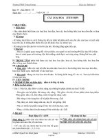 Giáo án môn Sinh học 6 - Bài 29 - Tiết 35 - Tuần 17: Các loại hoa (tích hợp)