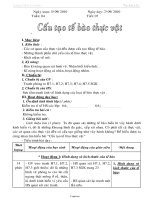 Giáo án môn Sinh học 6 - Tuần 4 - Tiết 7: Cấu tạo tế bào thực vật