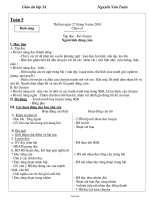 Giáo án Tập đọc 2 tuần 8 tiết 1: Người mẹ hiền